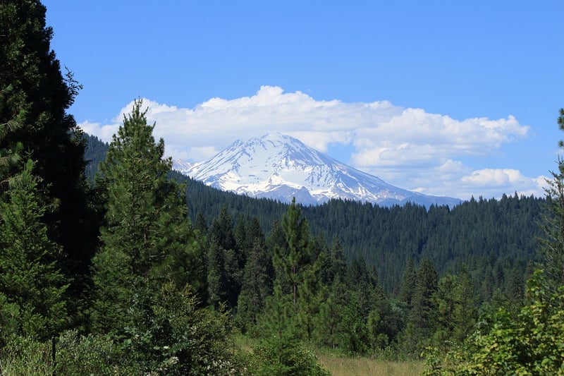 Mount Shasta